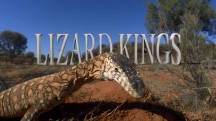 Короли ящериц / Lizard Kings (2009)