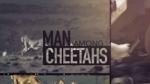 Человек среди гепардов / Man amond cheetahs (2017)