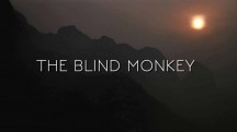 Слепая обезьяна / The Blind Monkey (2016)