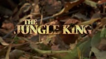 Путешествие короля джунглей / The jungle king (2016)