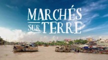 Что почём на рынке в Дохе (Катар) / Marches sur terre (2017)