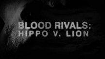 Кровавые соперники: гиппопотамы против львов / Blood rivals: Hippo V. Lion (2015)