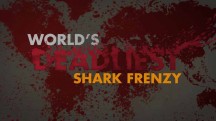 Самые опасные животные. Безумные акулы / World's deadliest. Shark frenzy (2017)