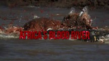 Африканская кровавая река / Africa's blood river (2013)