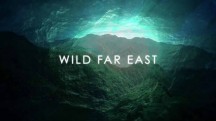 Дикая природа Дальнего Востока / Wild Far East (2017)