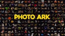 Фото-ковчег 1 серия / Photo Ark (2017)