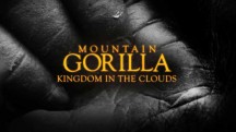 Горная горилла 1 серия. Царство в облаках / Mountain Gorilla (2010)