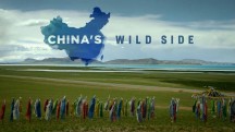 Дикая природа Китая. Царство дикой природы Тибета / China's wild side (2017)