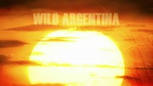 Дикая природа Аргентины. Убийственное побережье / Wild Argentina. The Killer Coast (2017)