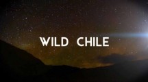 Дикая природа Чили 2 серия. Земля до начала времен / Wild Chile (2017)