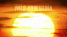 Дикая природа Аргентины. Водное царство / Wild Argentina. Water Kingdoms (2017)