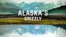 Гризли Аляски бросают вызов / Alaska's Grizzly Gauntlet (2018)