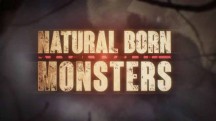 Прирождённые монстры. Бразильский паук / Natural born monsters (2015)