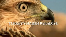 Дикая Турция / Turkey's Harsh Paradise (2015)