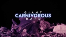 Гигантские плотоядные летучие мыши / Giant Carnivorous Bats (2017)