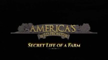 Прекрасная Америка: На границе с дикой природой. Тайная жизнь фермы / America's wild frontier. Secret Life of a Farm (2017)