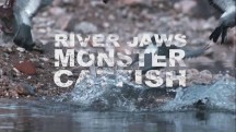 Речные обитатели / River Jaws Monster Catfish (2015)