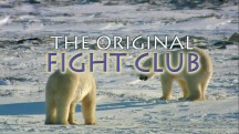 Первобытный бойцовский клуб / The Original Fight Club (2014)