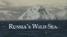 Дикое море России 1 серия / Russia's Wild Sea (2018)