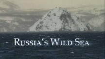 Дикое море России 2 серия / Russia's Wild Sea (2018)