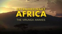 Невероятная Африка. Пробуждение Вирунги / Extraordinary Africa. The Virunga Awakes (2011)