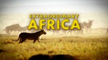 Невероятная Африка. Закума / Extraordinary Africa. Zakouma (2014)