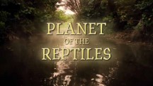 Могущественные рептилии / Planet of the Reptiles (2017)