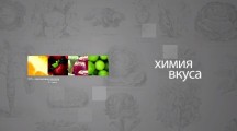 Химия вкуса (2018)