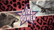 Матриархат / Girl Power (2018)