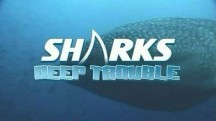 Акулы: глубина страха / Sharks: Deep Trouble (2006)