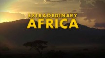 Невероятная Африка. Сокровища Восточного Конго / Extraordinary Africa. The Treasures of Eastern Congo (2018)