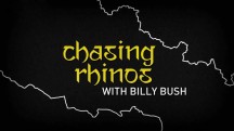 На защите носорогов / Chasing Rhinos (2013)