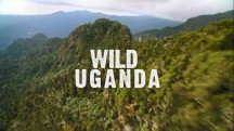 Дикая Уганда / Wild Uganda (2018)