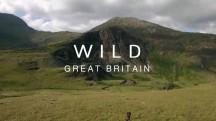 Дикая природа Великобритании 1 серия. Возвышенности / Wild Great Britain (2018)