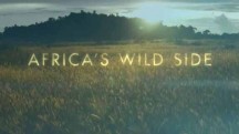 Дикие места Африки. Рожденные выживать / Africa's Wild Side (2018)