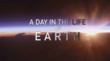 День из жизни Земли 1 серия. Начало дня  / A Day in the Life of Earth (2018)