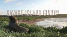 Дикие острова / Savage Island Giants (2016)