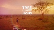 Львы на деревьях / Tree Climbing Lions (2018)