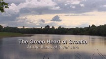 Реки в глуши Хорватии. На берегах реки Савы / The Green Heart of Croatia. At the Banks of River Sava (2015)