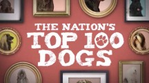 100 самых популярных пород собак 1 серия / The Nation's Top 100 Dogs (2017)