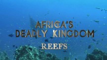 Смертоносная Африка. Рифы / Africa's Deadly Kingdom (2018)