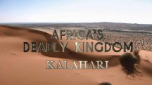 Смертоносная Африка. Калахари / Africa's Deadly Kingdom (2018)