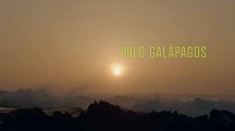 Дикие Галапагосы 1 серия. В объятиях океана / Wild Galapagos (2017)