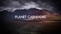 Планета хищников. Идеальные убийцы / Planet Carnivore. Perfect Killers (2016)