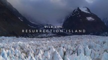 Дикая природа: Остров Воскресения / Wild Life: Resurrection Island (2018)