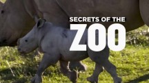 Секреты зоопарка. Кенгуру Манс / Secrets of the Zoo (2018)