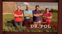 Невероятный доктор Пол 2 сезон 05 серия. Атака летучей мыши / The Incredible Dr. Pol (2019)