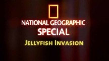 Нашествие медуз / Jellyfish invasion (2007)