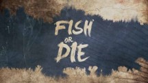 Рыба или смерть. Австралия / Fish or Die (2019)