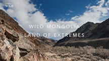 Дикая Монголия: страна крайностей. Царство над облаками / Wild Mongolia. Land of Extremes (2018)